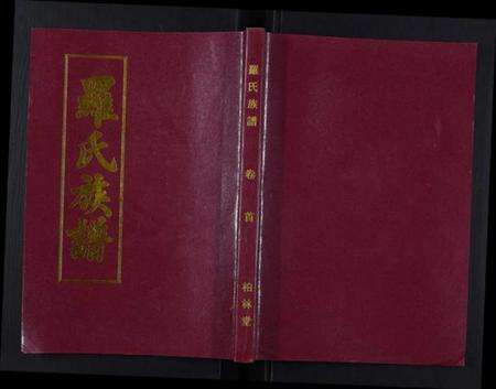 湖北罗氏族谱-罗氏族谱[21卷首1卷].pdf电子版缩略图