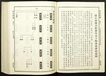 湖北罗氏族谱-罗氏宗谱.pdf电子版预览图3