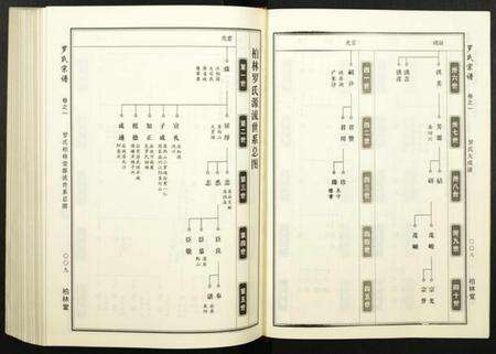 湖北罗氏族谱-罗氏宗谱.pdf电子版预览图5