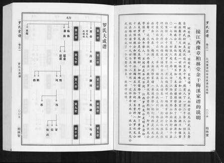 湖北罗氏族谱-罗氏宗谱.pdf电子版预览图3