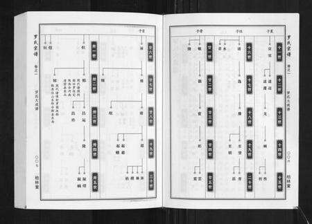 湖北罗氏族谱-罗氏宗谱.pdf电子版预览图4