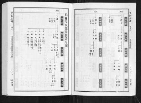 湖北罗氏族谱-罗氏宗谱.pdf电子版预览图5