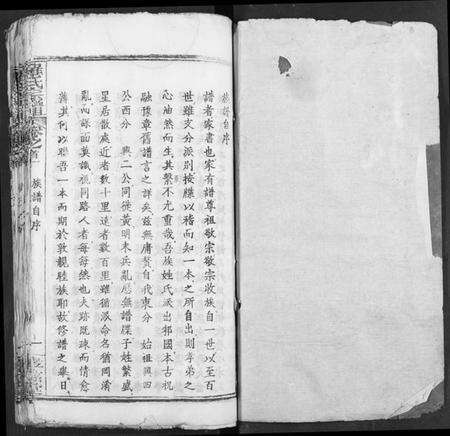 湖北罗氏族谱-罗氏宗谱.pdf电子版预览图1