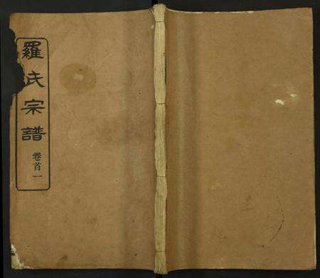 湖北罗氏族谱-罗氏宗谱.pdf电子版缩略图