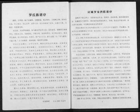 湖北罗氏族谱-罗氏宗谱.pdf电子版预览图3