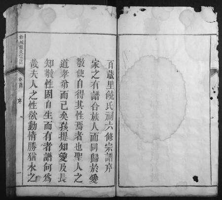 江西饶氏族谱-新城饶氏宗谱[15卷首1卷].pdf电子版预览图5