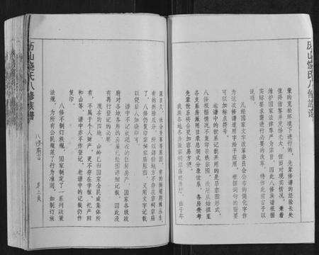 江西饶氏族谱-历山饶氏八修族谱[不分卷].pdf电子版预览图5