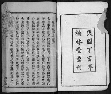 湖北罗氏族谱-罗氏宗谱 [40卷,首6卷].pdf电子版预览图2