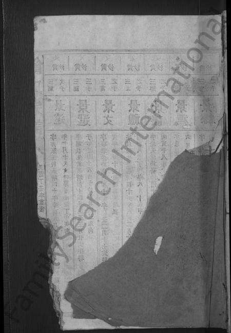 江西饶氏族谱-饶氏宗谱 [19卷].pdf电子版缩略图
