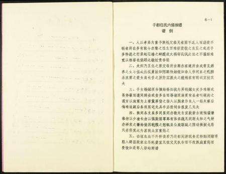 江西任氏族谱-雩都任氏六修族谱.pdf电子版预览图2