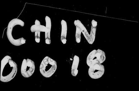 湖南朱氏族谱-泉灞朱氏四修族谱 [12卷,首2卷].pdf电子版预览图4