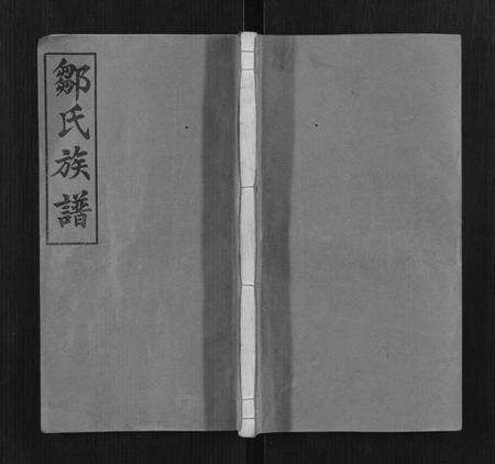 湖南邹氏族谱-邹氏族谱[10卷].pdf电子版缩略图