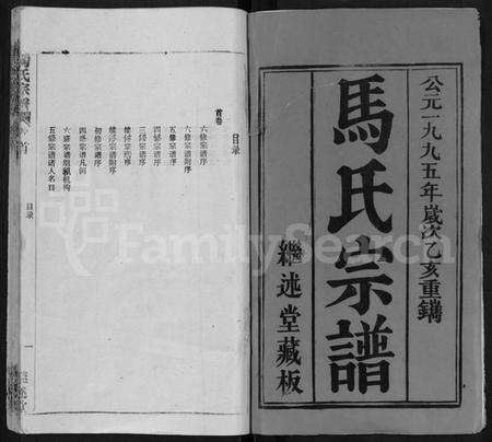 湖北马氏族谱-马氏宗谱 [41卷,含首1卷].pdf电子版预览图1