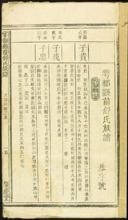 江西舒氏族谱-雩邑前舒氏族谱.pdf电子版预览图3