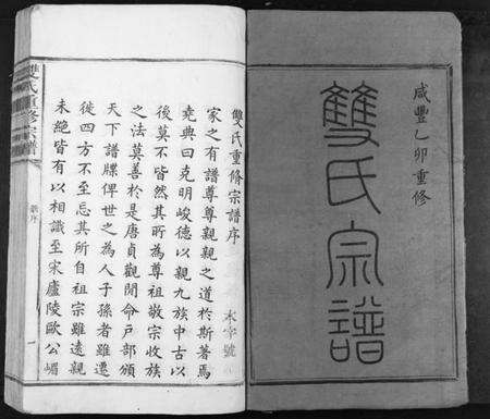 江西双氏族谱-双氏重修族谱[不分卷].pdf电子版预览图1