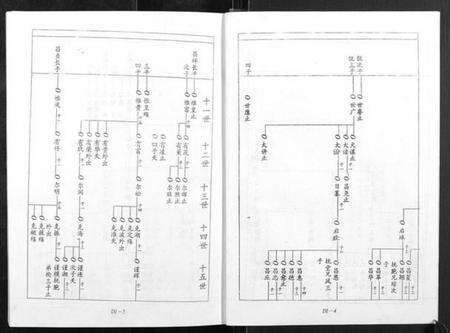 江西宋氏族谱-宁邑赖溪宋氏四修族谱.pdf电子版预览图5
