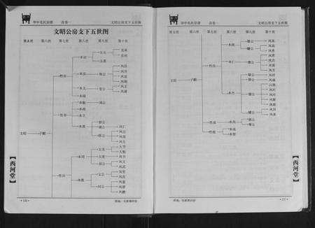 湖北毛氏族谱-华中毛氏宗谱.pdf电子版预览图5