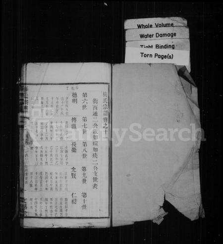 中国梅氏族谱-梅氏宗谱.pdf电子版预览图1