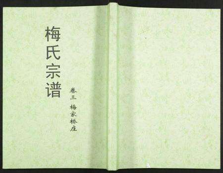 湖北梅氏族谱-梅氏大成宗谱.pdf电子版缩略图
