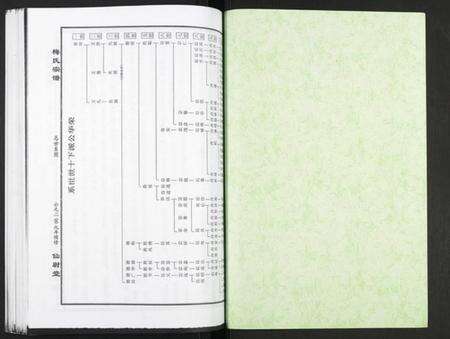 湖北梅氏族谱-梅氏大成宗谱.pdf电子版预览图1