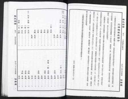 湖北梅氏族谱-梅氏大成宗谱.pdf电子版预览图3
