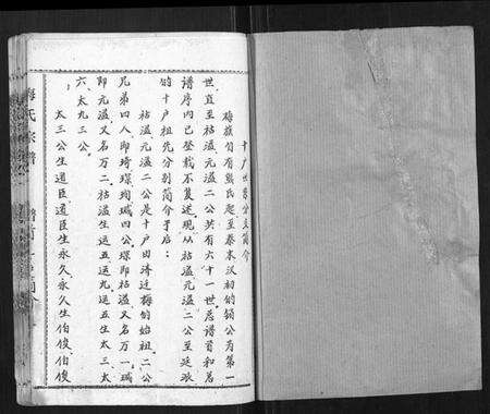 湖北梅氏族谱-梅氏宗谱.pdf电子版预览图1