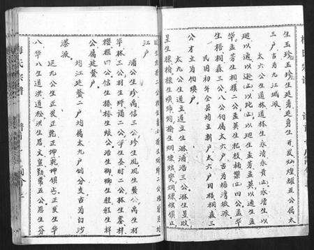 湖北梅氏族谱-梅氏宗谱.pdf电子版预览图2