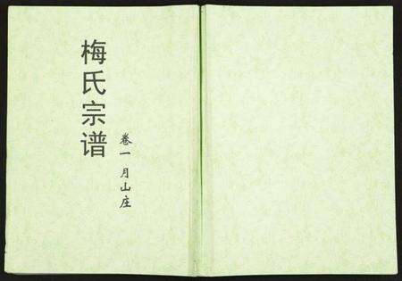 湖北梅氏族谱-梅氏宗谱.pdf电子版缩略图