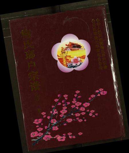 湖北梅氏族谱-梅氏琅户宗谱.pdf电子版缩略图