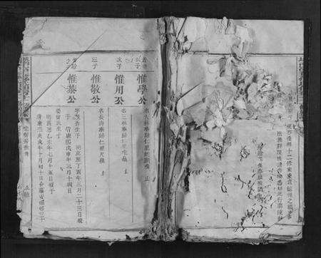 江西孙氏族谱-城南富春孙氏伯房十二修族谱.pdf电子版缩略图