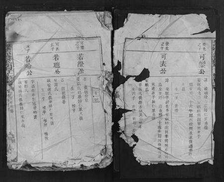 江西孙氏族谱-城南富春孙氏伯房十二修族谱.pdf电子版预览图2