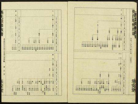 江西孙氏族谱-孙氏联修族谱.pdf电子版预览图5