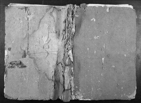 江西谭氏族谱-抚乐池溪谭氏族谱.pdf电子版缩略图