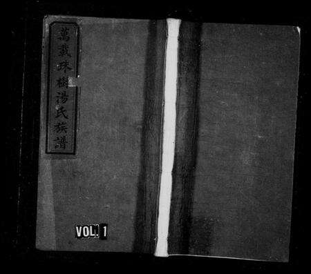 江西汤氏族谱-万载珠树汤氏族谱 [10卷,及卷首].pdf电子版预览图1