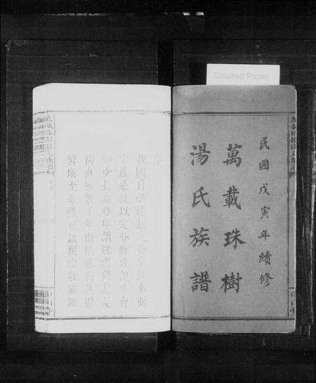 江西汤氏族谱-万载珠树汤氏族谱 [10卷,及卷首].pdf电子版预览图2