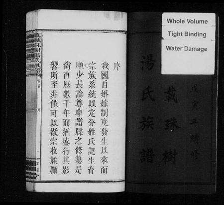 江西汤氏族谱-万载珠树汤氏族谱 [10卷,及卷首].pdf电子版预览图3