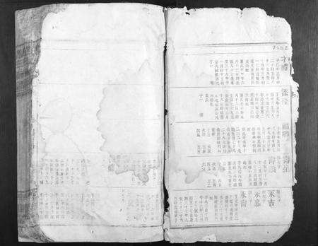 江西唐氏族谱-唐氏族谱.pdf电子版预览图2