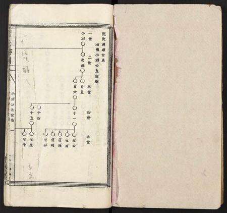 湖北倪氏族谱-倪氏族谱 [存11卷及卷首].pdf电子版预览图1