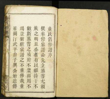 江西童氏族谱-童氏族谱.pdf电子版缩略图