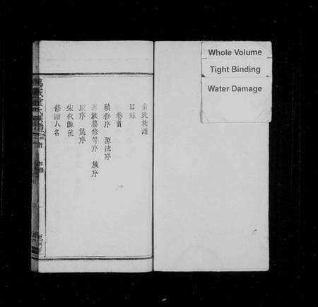 江西童氏族谱-万载童氏族谱[9卷及卷首].pdf电子版预览图2