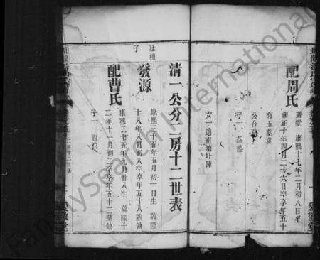 江苏潘氏族谱-坂陆潘氏宗谱 [残卷].pdf电子版预览图2