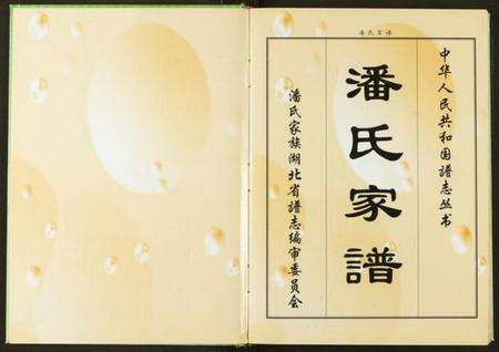 湖北潘氏族谱-潘氏家谱.pdf电子版预览图4