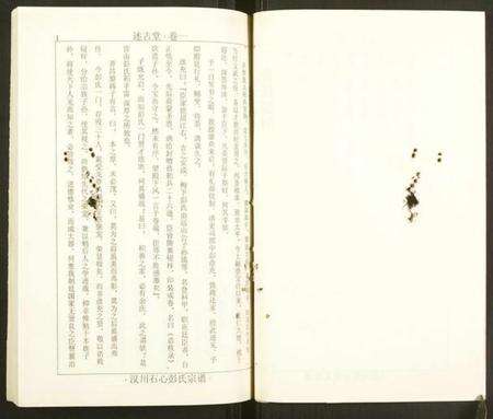 湖北彭氏族谱-汉川石心彭氏宗谱.pdf电子版预览图4