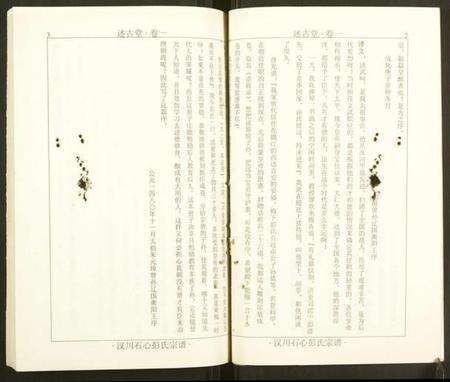 湖北彭氏族谱-汉川石心彭氏宗谱.pdf电子版预览图5