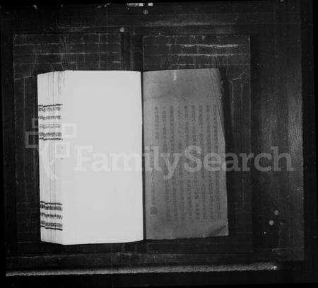 湖北彭氏族谱-彭氏宗谱.pdf电子版预览图2