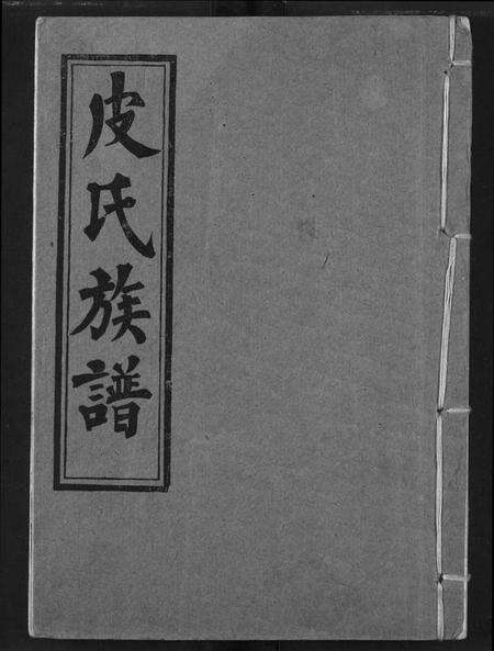 湖北皮氏族谱-皮氏族谱.pdf电子版