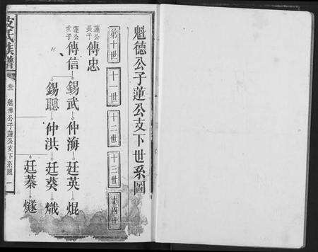 湖北皮氏族谱-皮氏族谱.pdf电子版预览图2