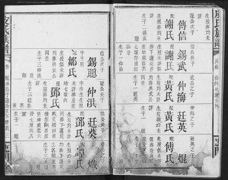 湖北皮氏族谱-皮氏族谱.pdf电子版预览图4