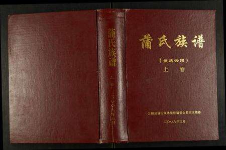 四川蒲氏族谱-蒲氏族谱.pdf电子版缩略图