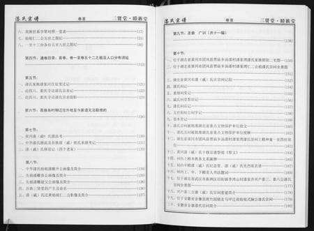 湖北漆氏戚氏族谱-中华漆(戚)氏宗谱. 仁二公支系.pdf电子版预览图4